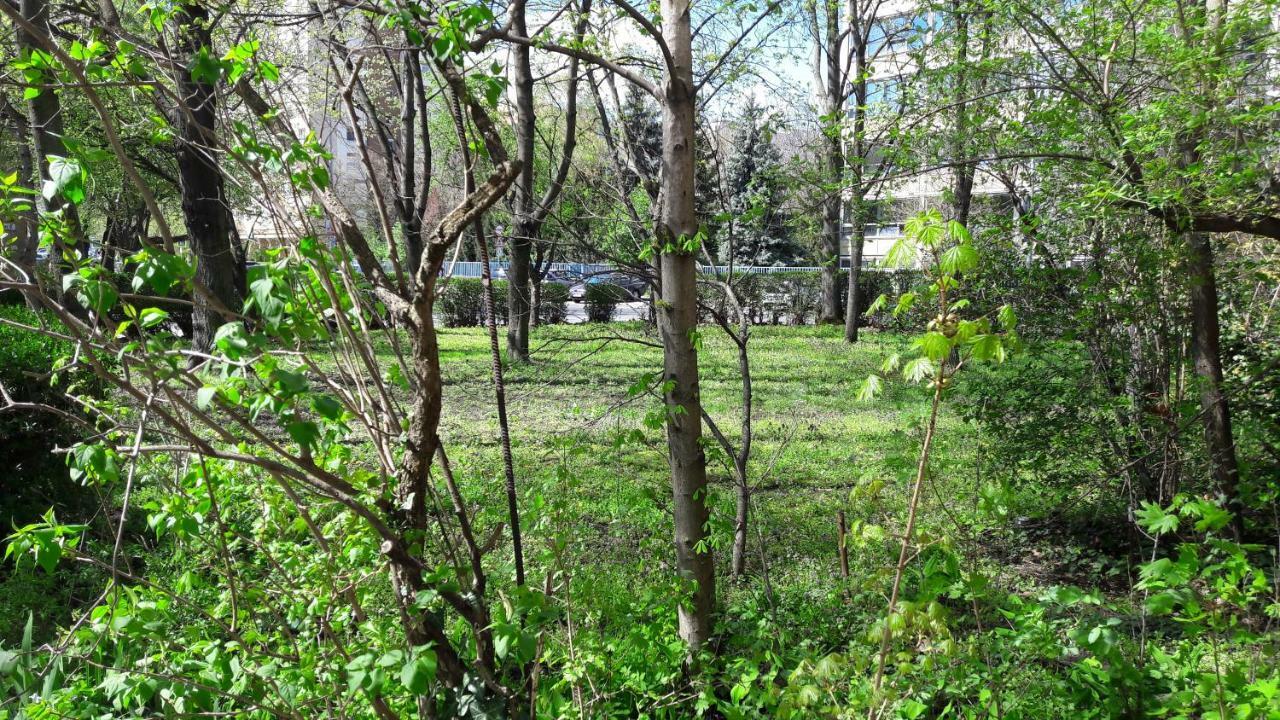 Apartment Greenapartman